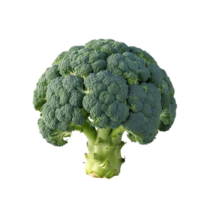 Broccoli