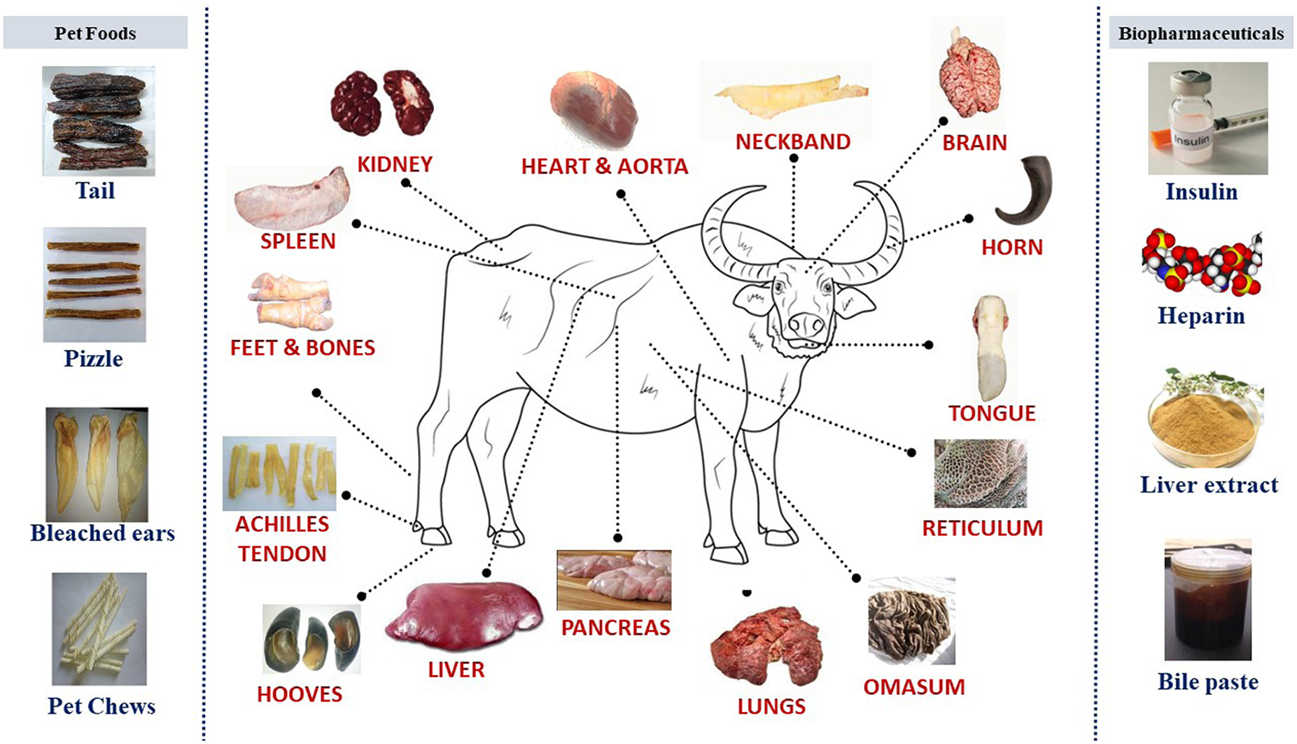 BUFFALO - (BHL – Bone, Heart & Liver Mix) – Approx. 2kg - Mixed meat.