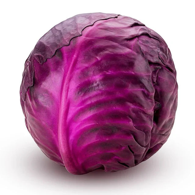 Cabbage Red ( Each )