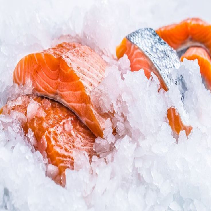 Salmon Fillets 10 Portions 1 Box