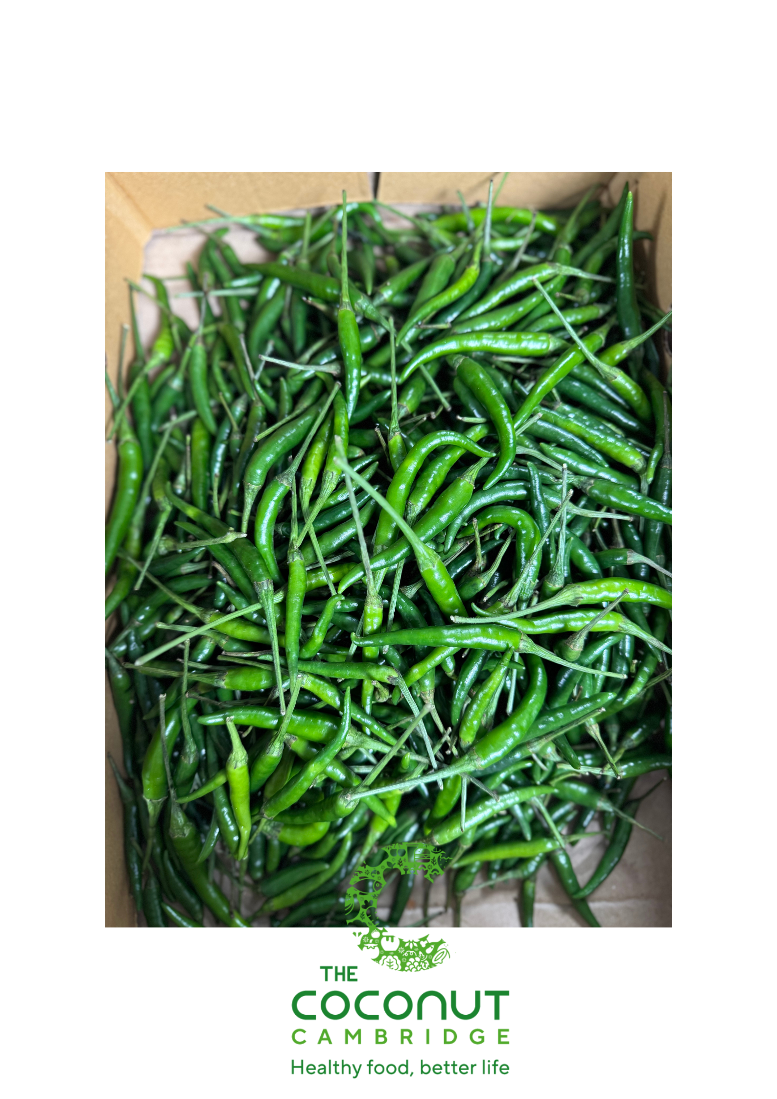 Green Chilli