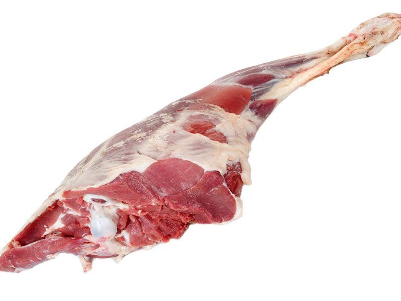 MUTTON LEG
