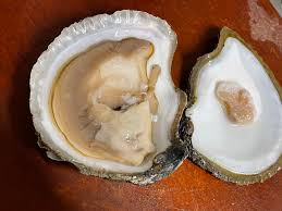 Whitestable Oyster