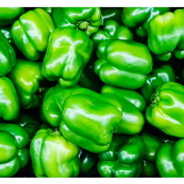 Premium Green Pepper
