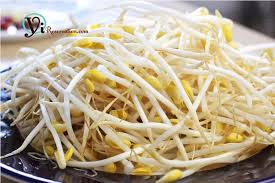 Soyabean Sprouts