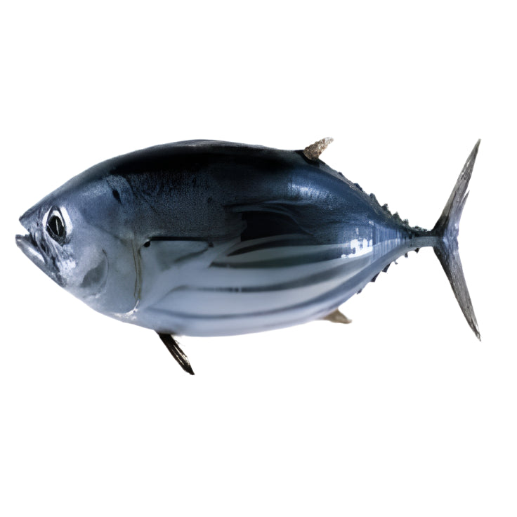 Tuna