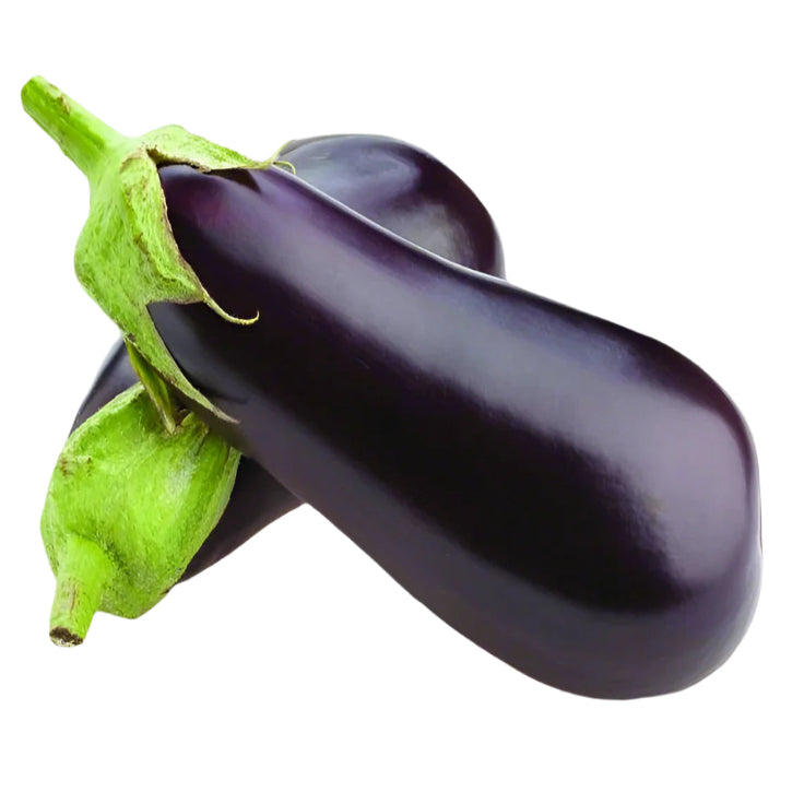 Aubergine