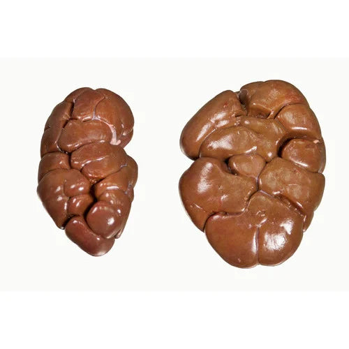 Buffalo liver