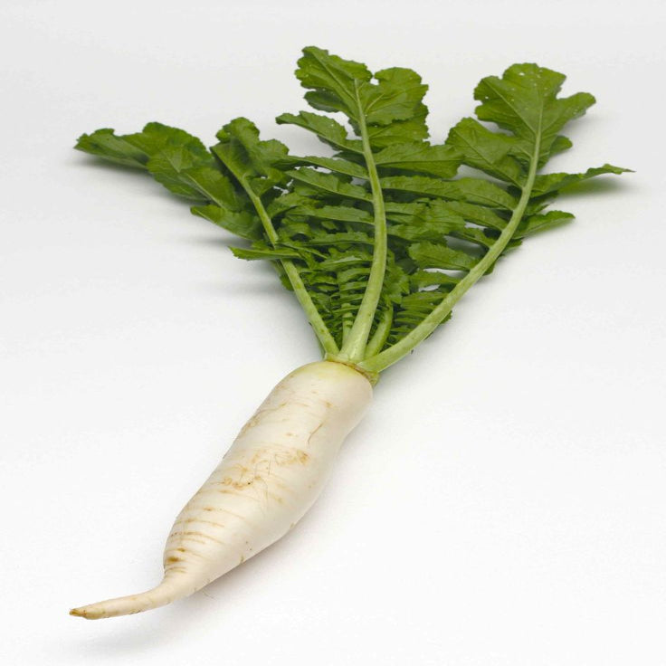 White Radish(1 Piece)