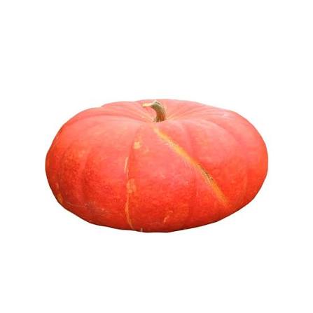 Red pumkin