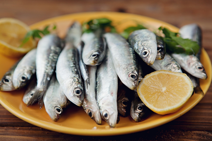 Sardines